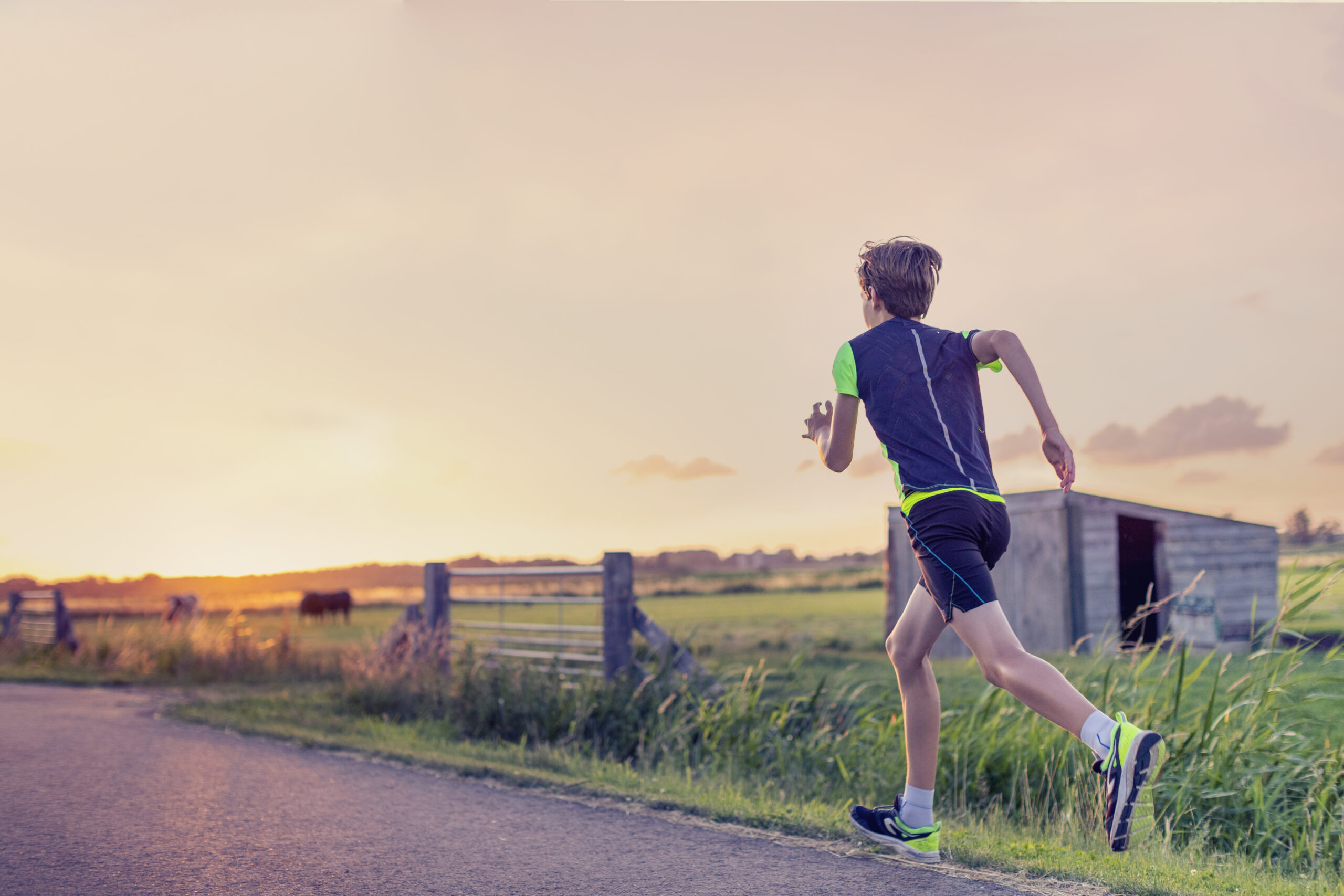 Gemeente Hoeksche Waard Wil Inwoners Aanmoedigen Om Meer Te Sporten En